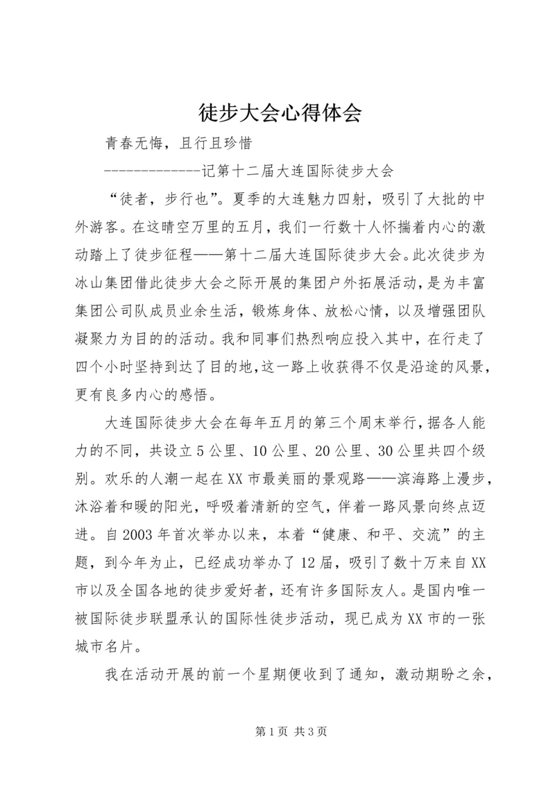 徒步大会心得体会.docx