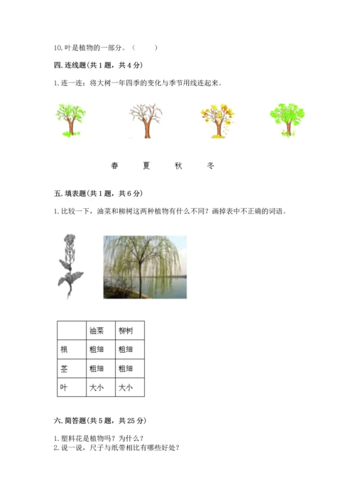 教科版一年级上册科学期末测试卷精品（黄金题型）.docx