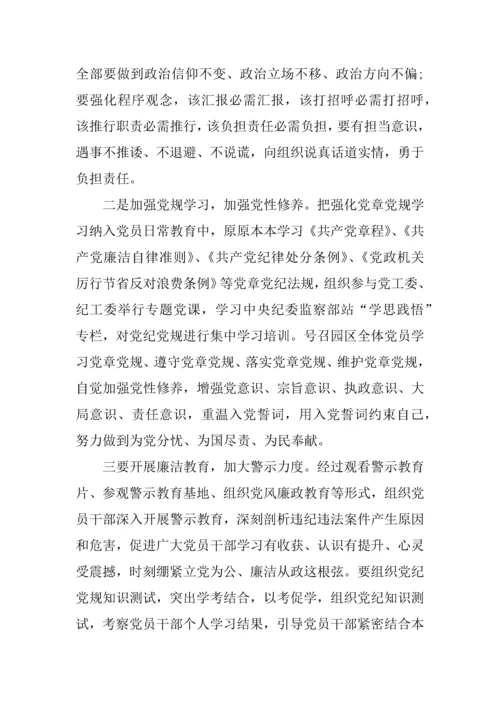 两学一做主题党日活动专业方案.docx
