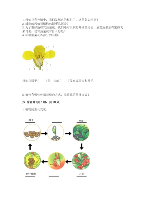 科学四年级下册第一单元植物的生长变化测试卷word.docx