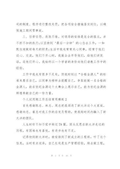 个人试用期工作总结常用模板.docx