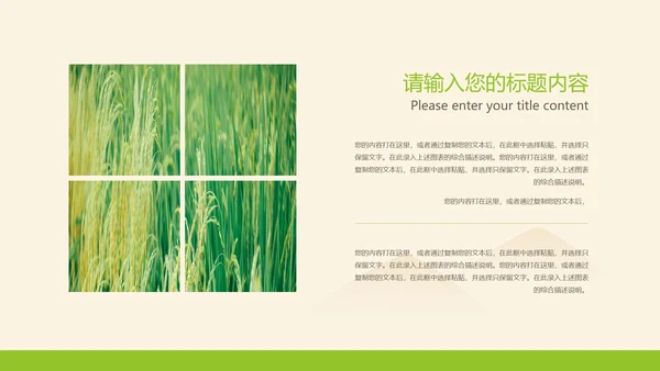 黄色插画风水稻粮食教育PPT模板