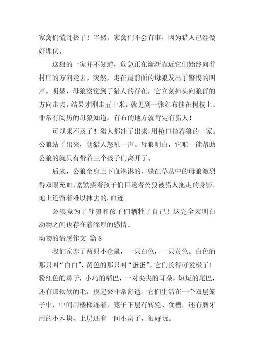 2022精选动物的情感作文锦集十篇