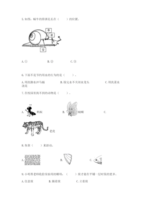 教科版一年级下册科学期末测试卷含答案【巩固】.docx