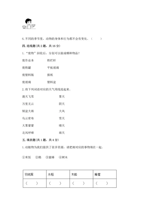 教科版二年级上册科学期末测试卷【模拟题】.docx