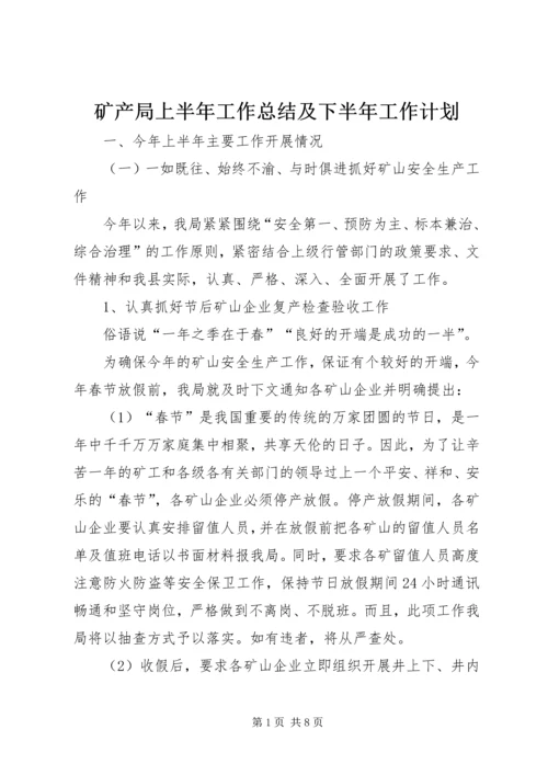 矿产局上半年工作总结及下半年工作计划.docx