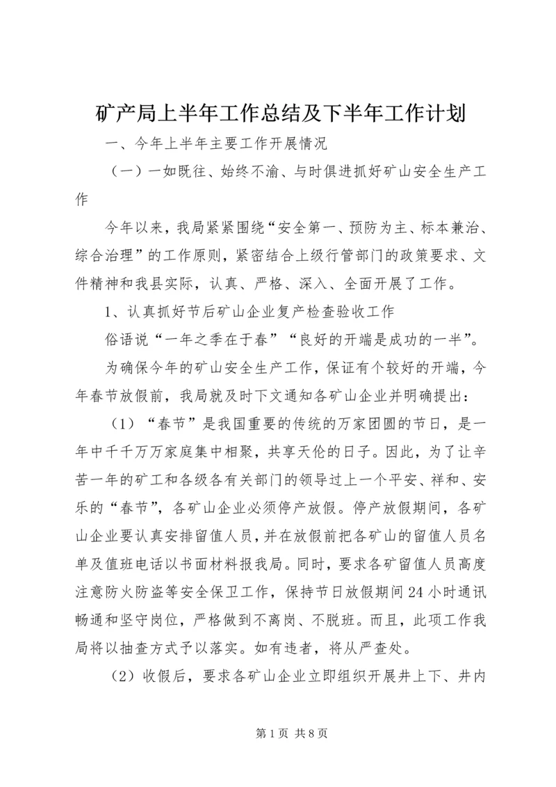 矿产局上半年工作总结及下半年工作计划.docx