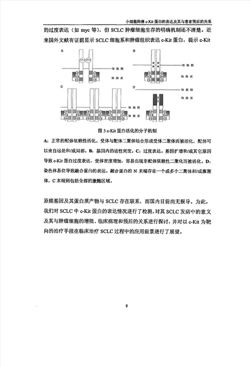 小细胞肺癌cKit蛋白的表达及其与患者预后的关系