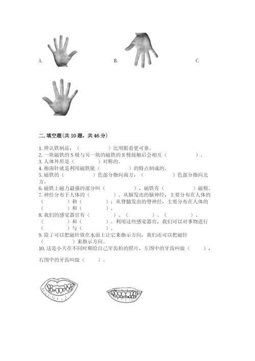 教科版二年级下册科学期末测试卷【精华版】.docx