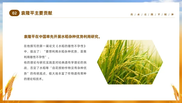 黄色实拍稻穗522纪念杂交水稻之父袁隆平主题班会PPT纪念袁隆平