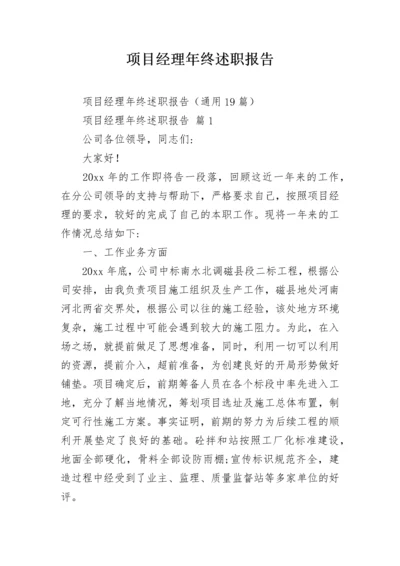 项目经理年终述职报告.docx