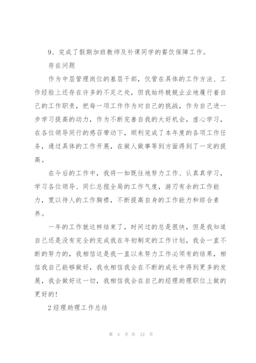 经理助理工作总结范文5篇.docx