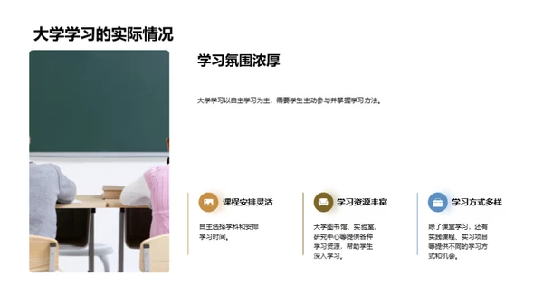 大学教育体系介绍