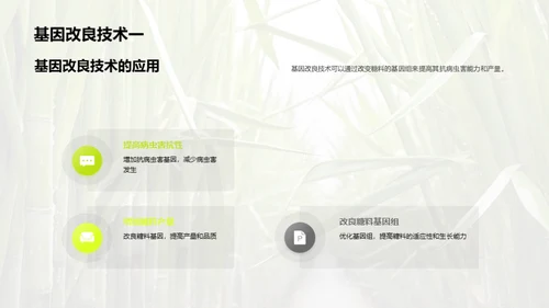 糖料种植的科技革命