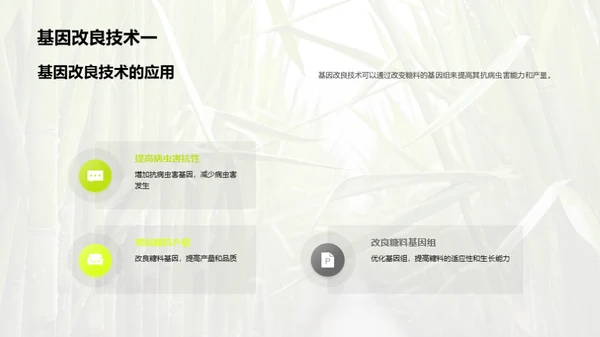 糖料种植的科技革命
