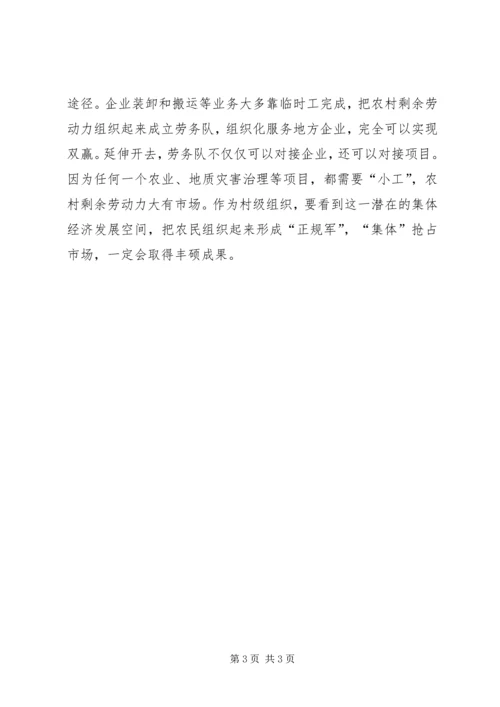 壮大集体经济富民调研报告 (2).docx