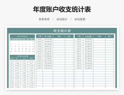 年度账户收支统计表