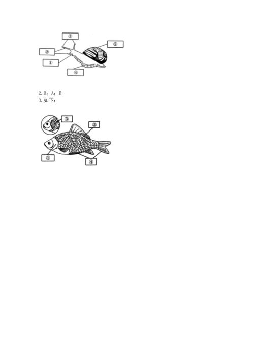 教科版一年级下册科学期末测试卷（b卷）.docx