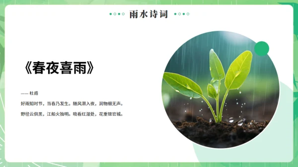 雨水节气燕子元素通用PPT绿色模板