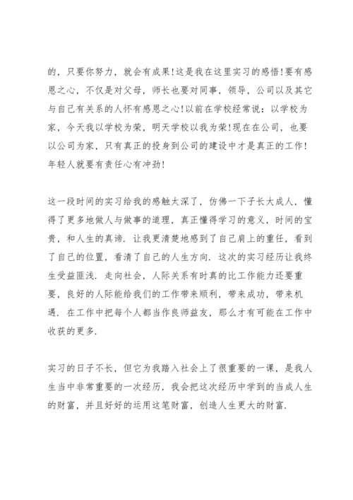 出纳大学生顶岗2021实习报告.docx