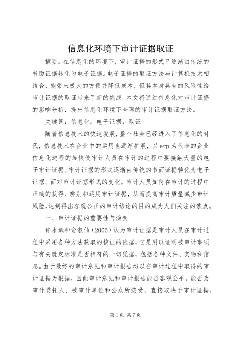 信息化环境下审计证据取证.docx