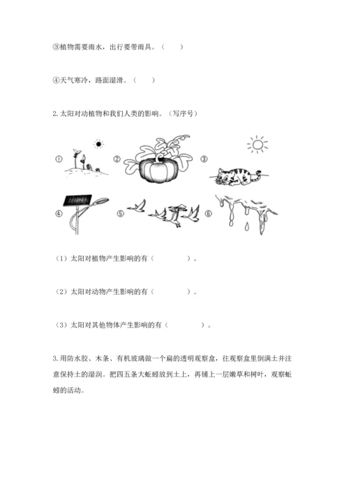 教科版二年级上册科学期末测试卷【典优】.docx