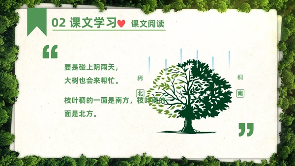 绿色简约实拍要是你在野外迷了路二年级语文下册说课PPT课件小学语文二年级下册课件