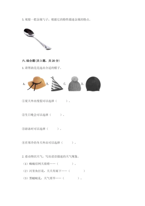 教科版二年级上册科学期末测试卷精品【b卷】.docx