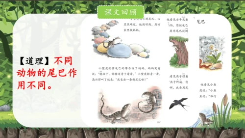 统编版语文一下第八单元复习课件