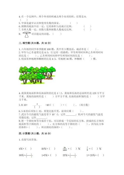 小升初六年级期末试卷（名校卷）.docx