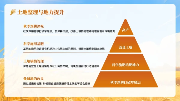 黄色插画风秋分农事农业培训PPT模板