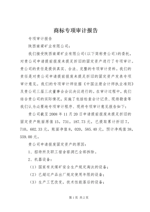 商标专项审计报告 (2).docx