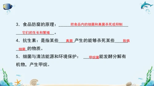 人教版八年级生物上册5.4《细菌和真菌》复习课件（含31张ppt）