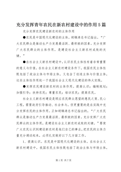 充分发挥青年农民在新农村建设中的作用5篇 (5).docx