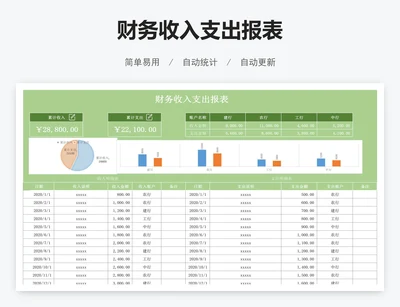 财务收入支出报表