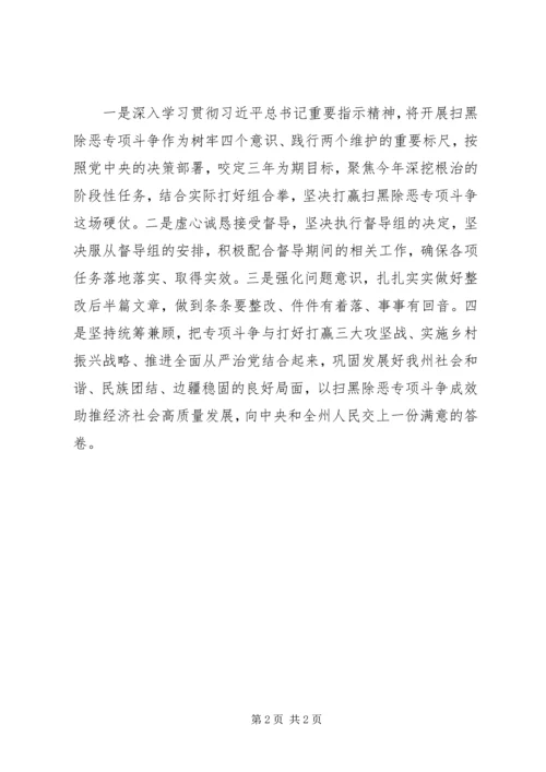 常委班子扫黑除恶专项斗争专题民主生活会发言稿.docx