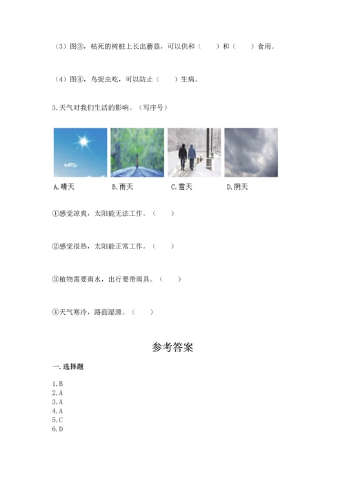 教科版二年级上册科学期末测试卷【综合题】.docx