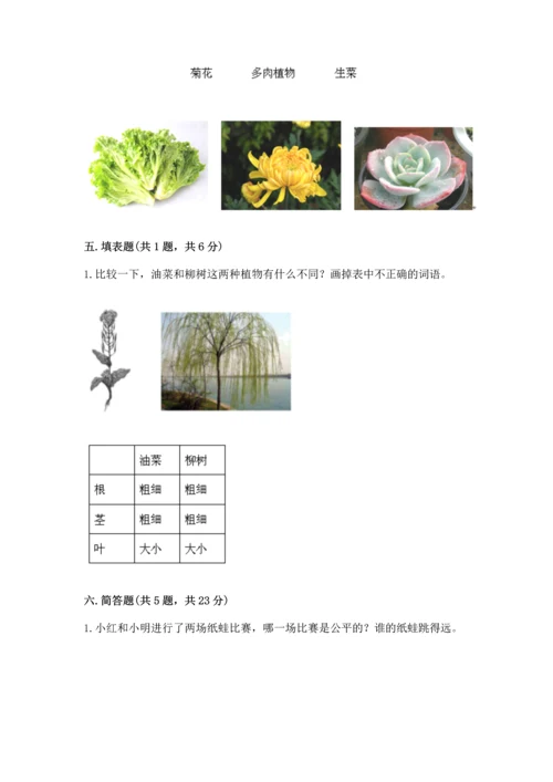 教科版一年级上册科学期末测试卷含完整答案（历年真题）.docx