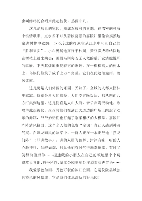 美丽的滨江公园作文.docx
