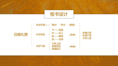 初中语文茅盾《白杨礼赞》PPT教学课件