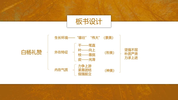 初中语文茅盾《白杨礼赞》PPT教学课件