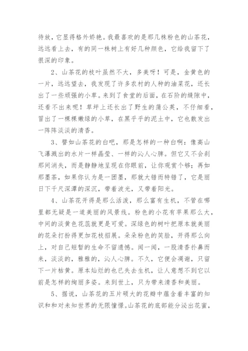 描写茶花的好词好句好段.docx