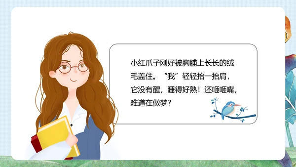 《珍珠鸟》五年级语文课件PPT模板