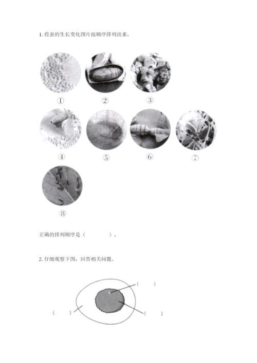 教科版科学三年级下册 期末测试卷精品【夺冠系列】.docx