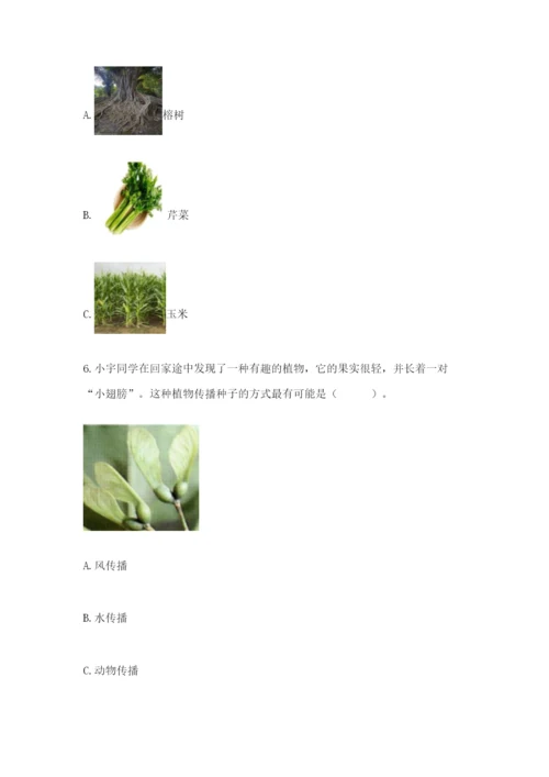 教科版四年级下册科学第一单元《植物的生长变化》测试卷及答案【新】.docx
