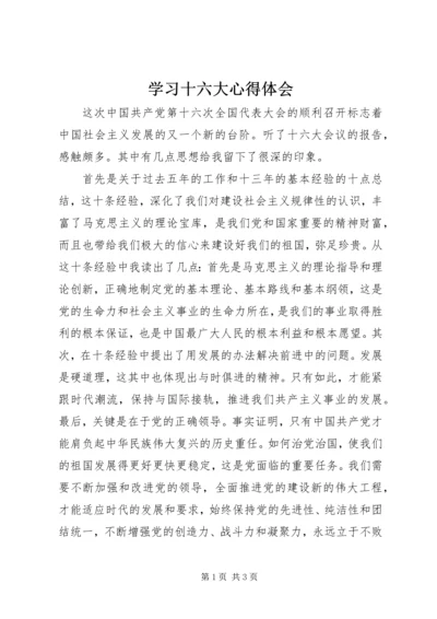 学习十六大心得体会 (5).docx