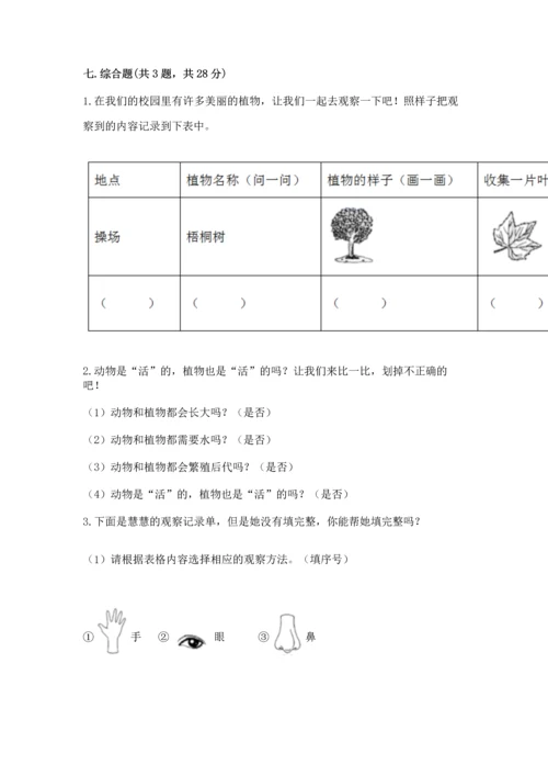 教科版科学一年级上册第一单元《植物》测试卷重点.docx