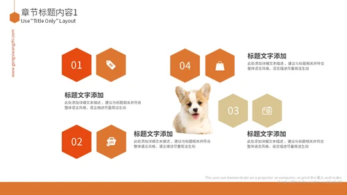 宠物乐园萌宠狗狗主题通用PPT模板
