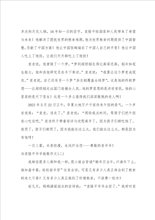 向袁隆平爷爷致敬作文