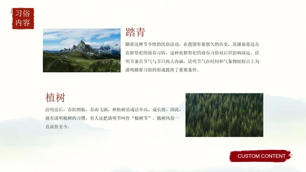 清明时节主题教育科普PPT模板